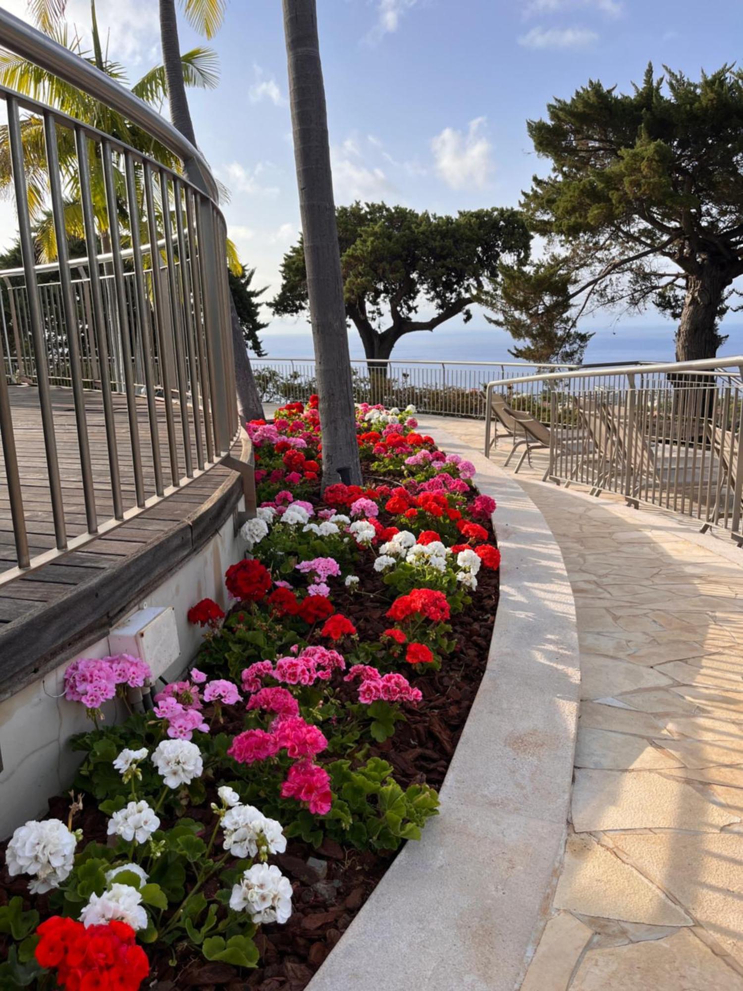 ホテル Quinta Funchal Gardens - Adults Only エクステリア 写真